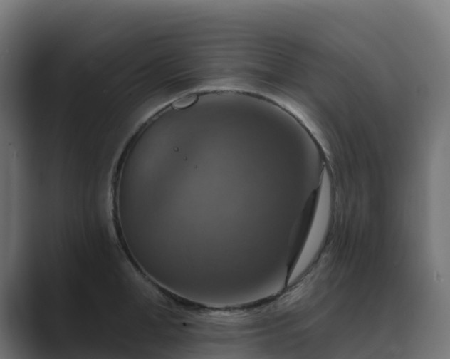 X0000089720998200706281527