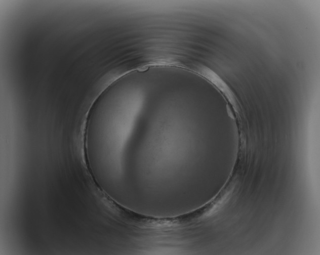 X0000089721002200706281527