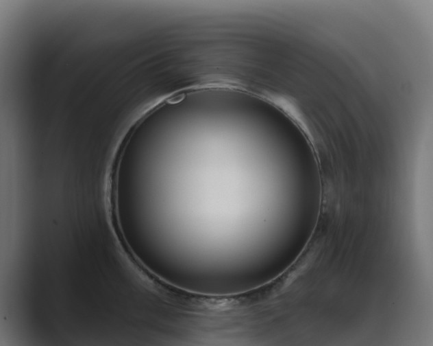 X0000089721003200706281527