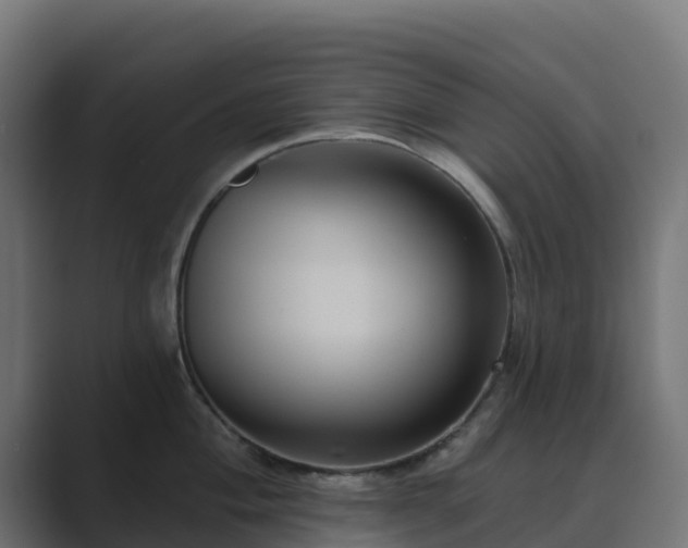 X0000089721004200706281527