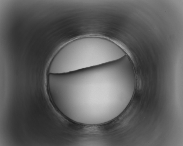 X0000089721006200706281527
