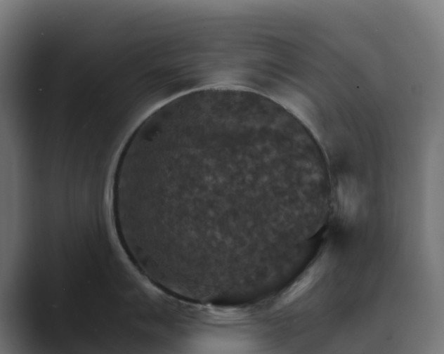 X0000089721007200706281527
