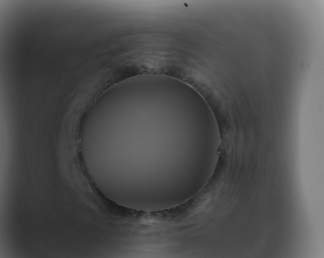 X0000089721009200706281527