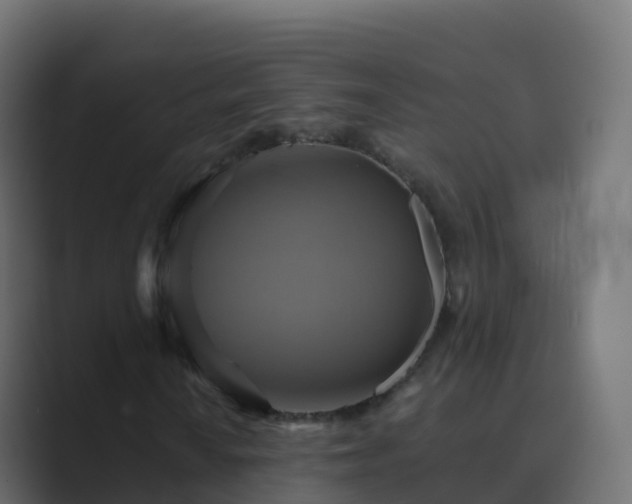 X0000089721010200706281527