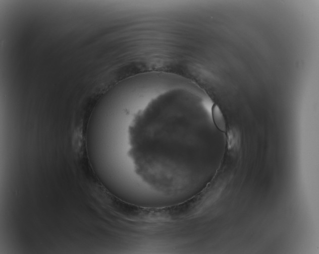 X0000089721011200706281527