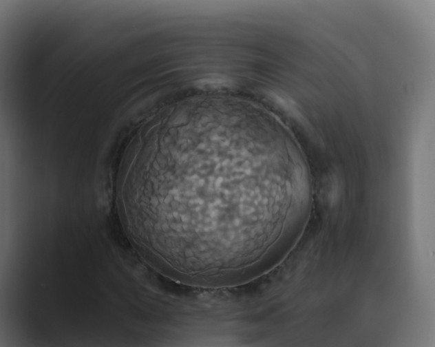 X0000089721015200706281527