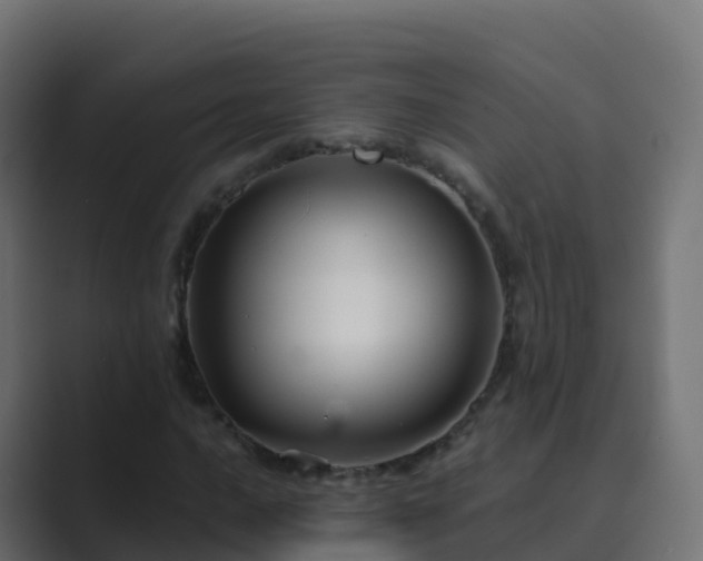 X0000089721016200706281527