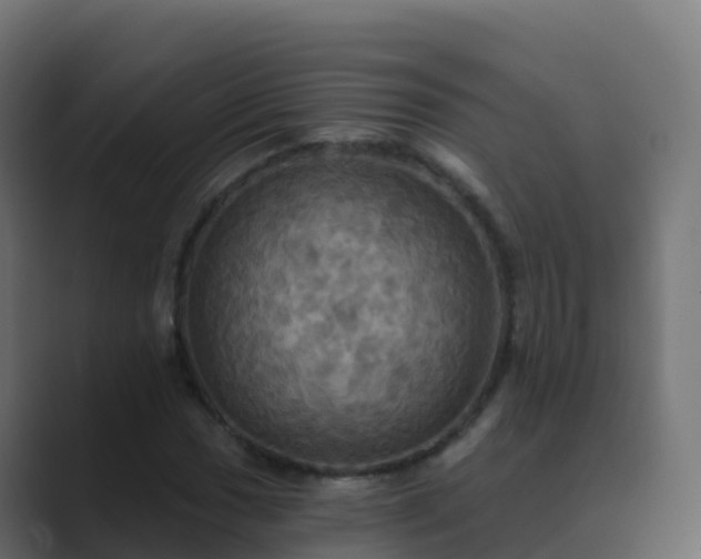 X0000089721017200706281527
