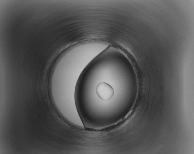 X0000089721018200706281527
