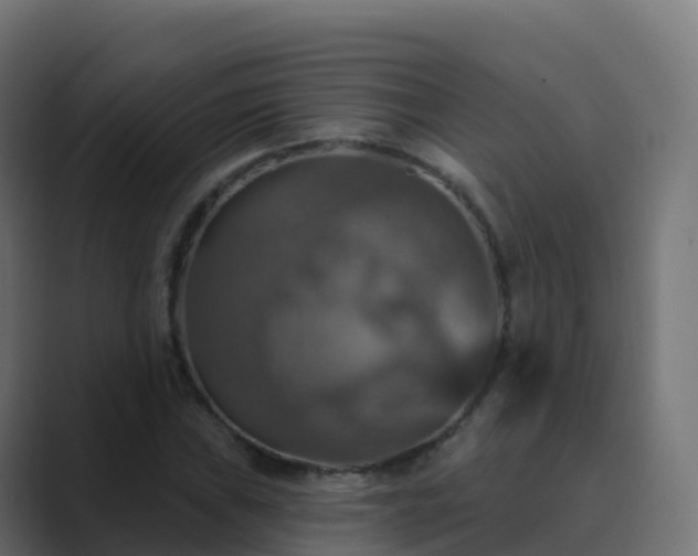 X0000089721019200706281527