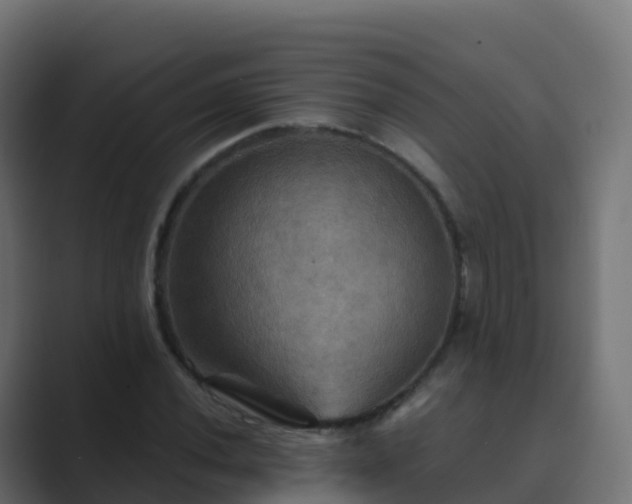 X0000089721020200706281527