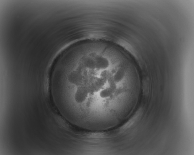 X0000089721021200706281527