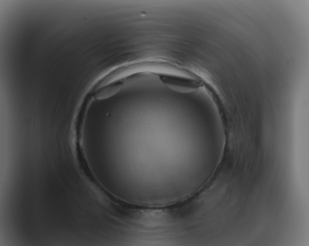 X0000089721024200706281527