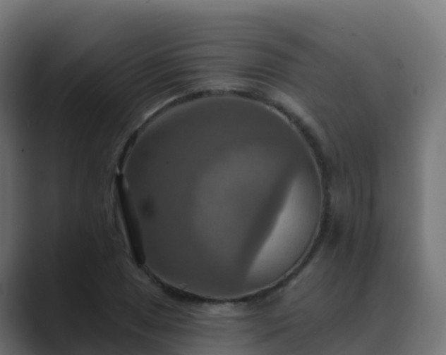 X0000089721025200706281527