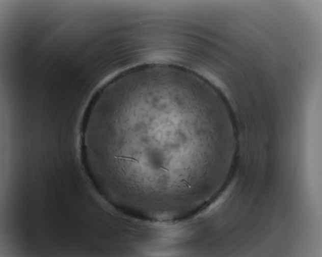X0000089721029200706281527