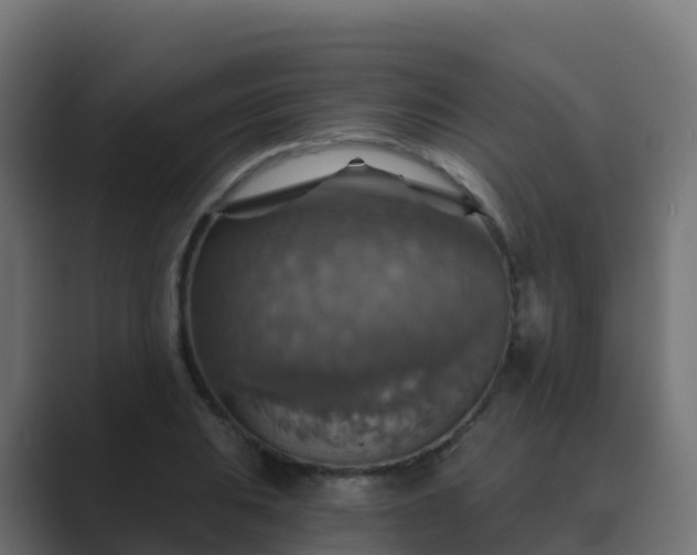 X0000089721031200706281527
