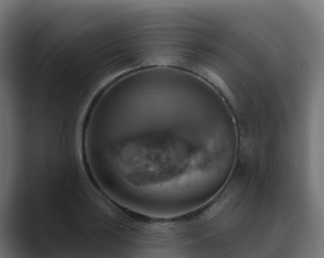 X0000089721035200706281527