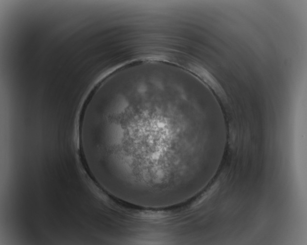 X0000089721036200706281527