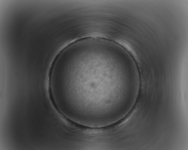 X0000089721040200706281527
