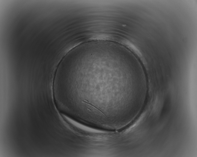 X0000089721041200706281527