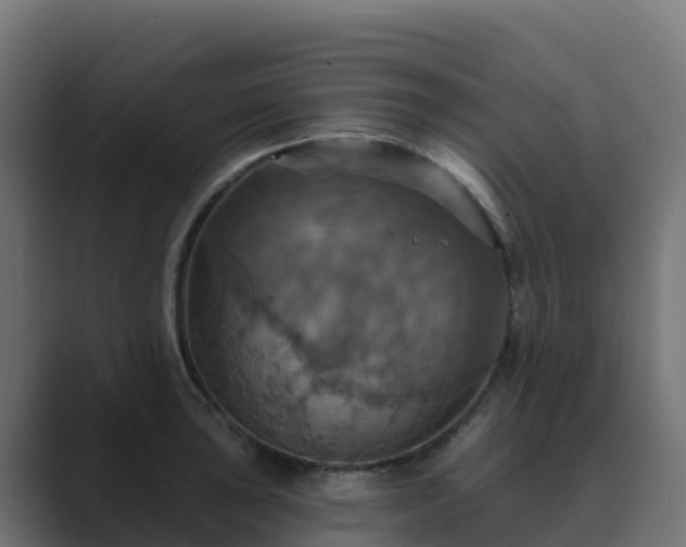 X0000089721043200706281527