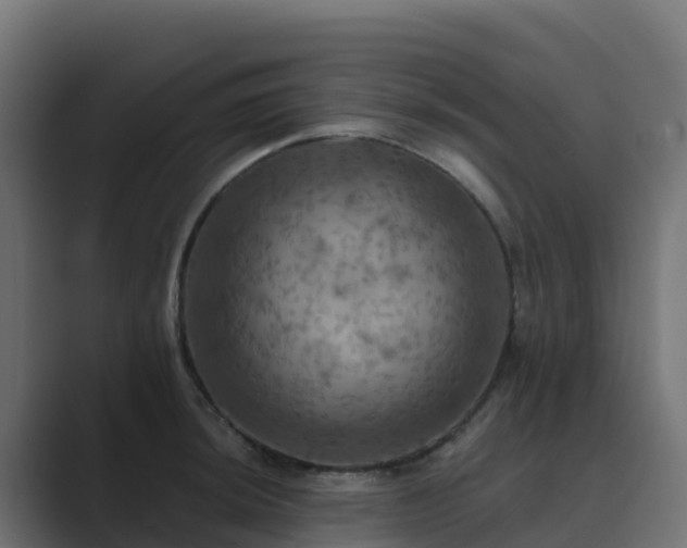 X0000089721044200706281527