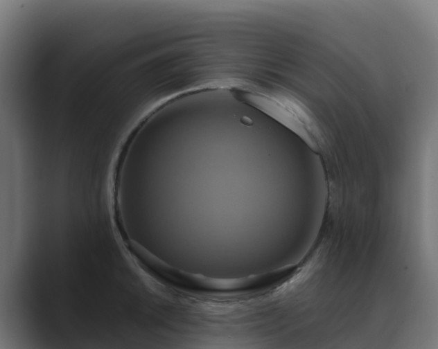 X0000089721046200706281527