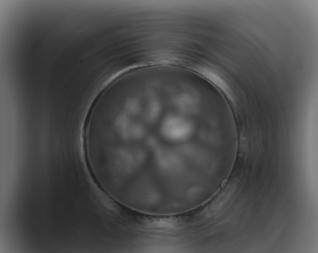 X0000089721047200706281527