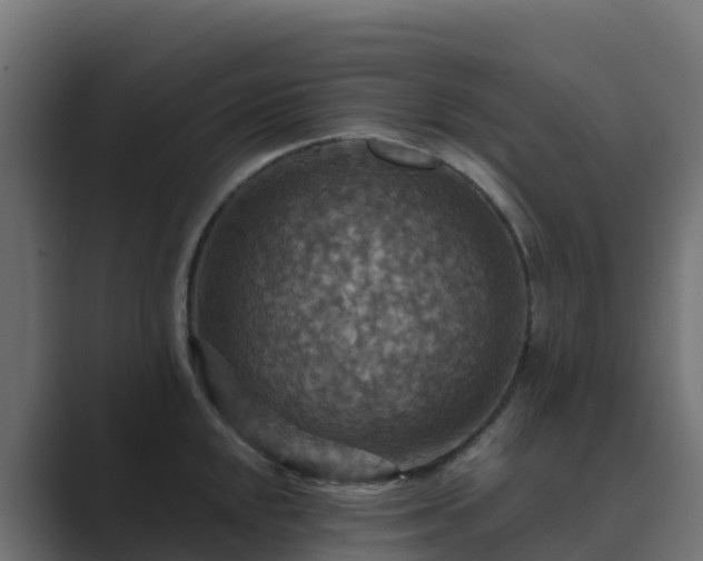 X0000089721048200706281527