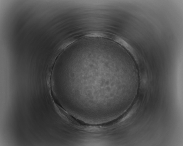 X0000089721049200706281527