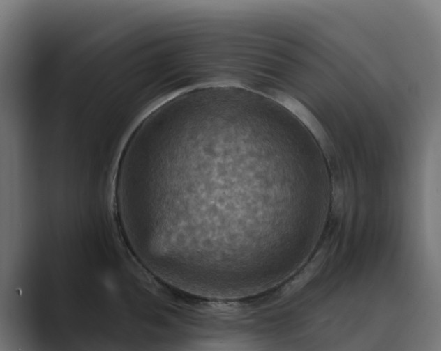 X0000089721052200706281527