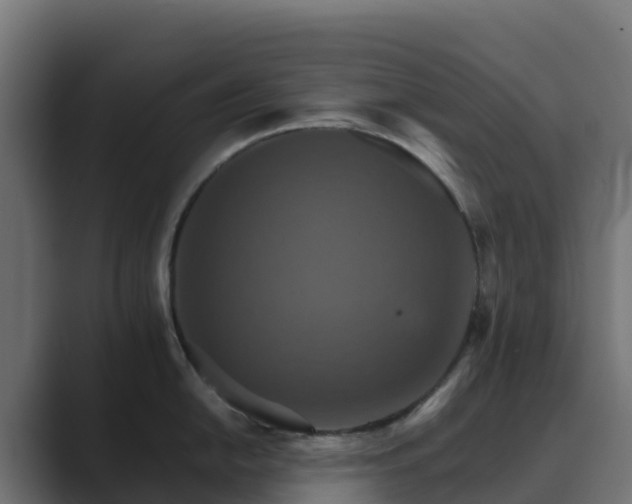 X0000089721054200706281527