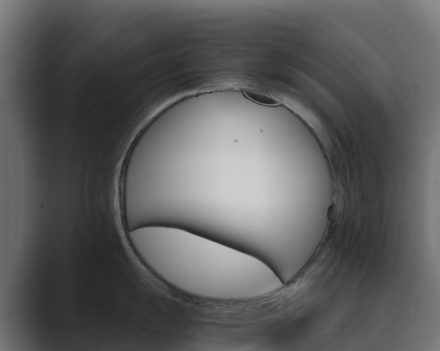 X0000089721055200706281527