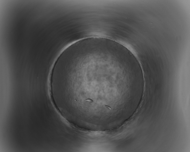 X0000089721056200706281527