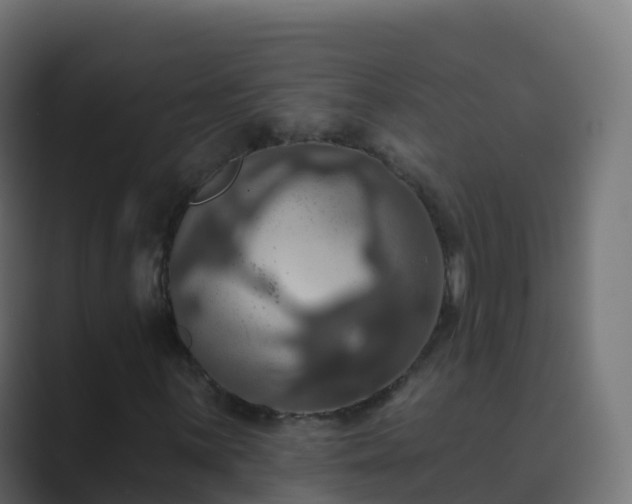 X0000089721059200706281526