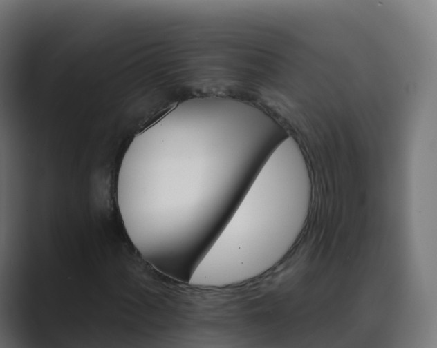 X0000089721060200706281526