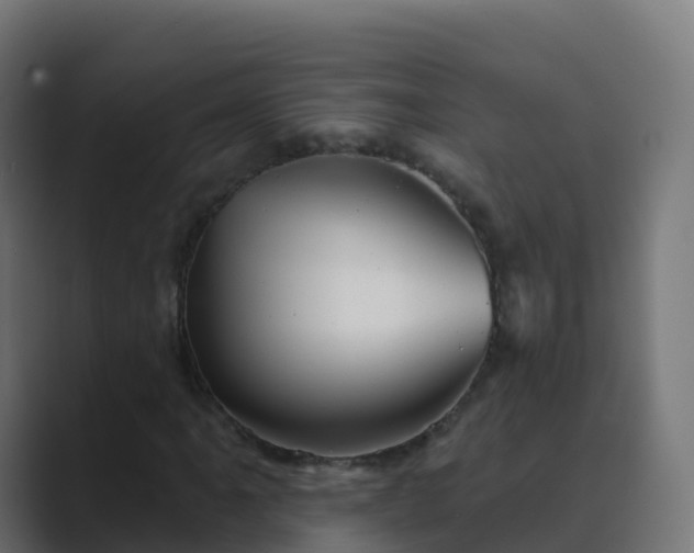 X0000089721061200706281526