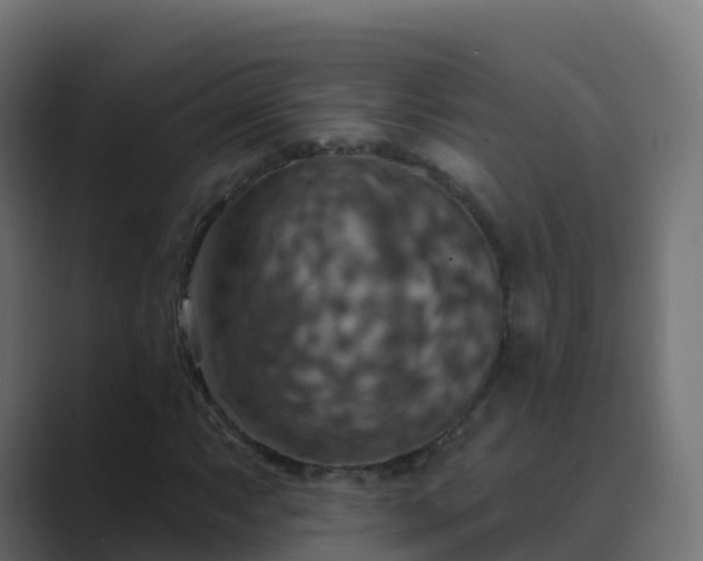 X0000089721063200706281526