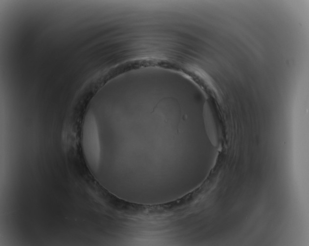 X0000089721064200706281526