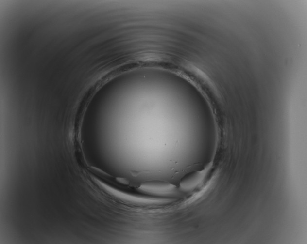 X0000089721065200706281526