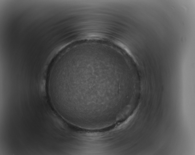 X0000089721066200706281526