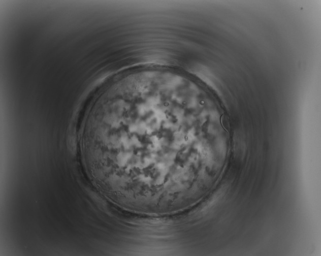 X0000089721067200706281526