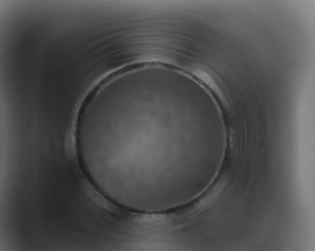 X0000089721068200706281526