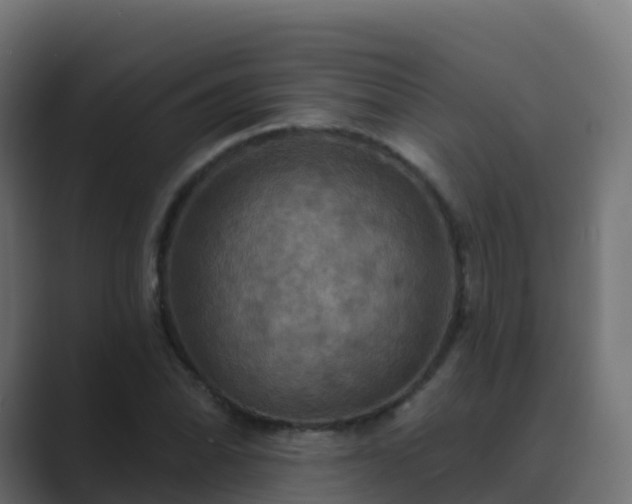 X0000089721070200706281526