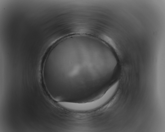 X0000089721071200706281526