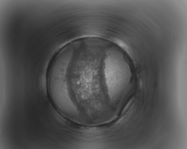 X0000089721072200706281526