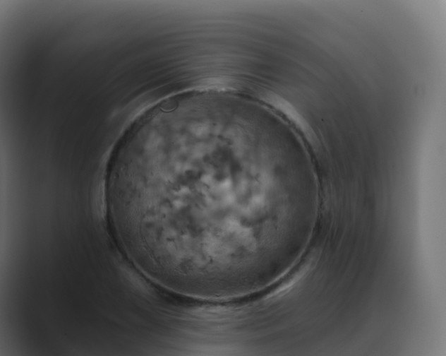 X0000089721075200706281526