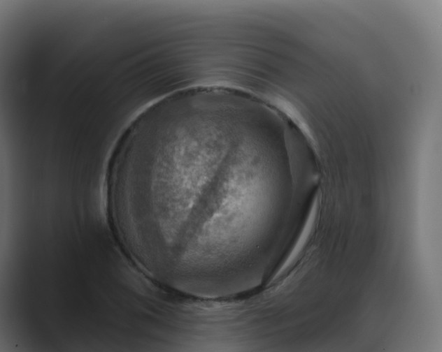 X0000089721076200706281526