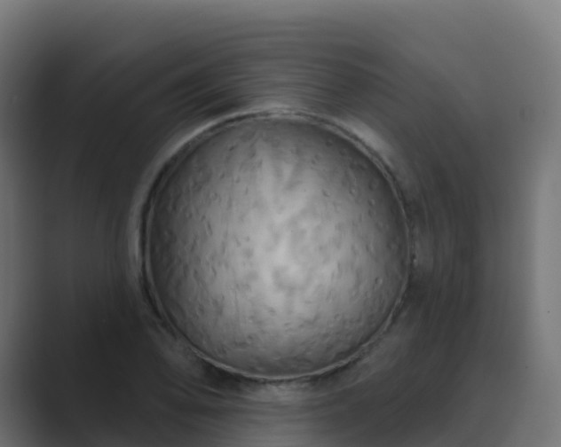 X0000089721078200706281526