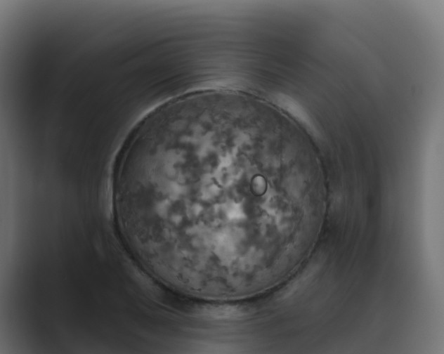 X0000089721079200706281526
